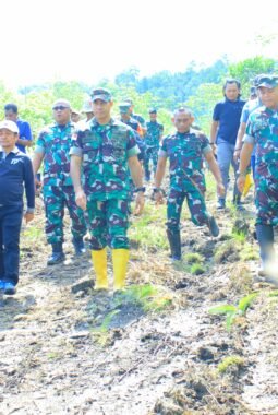 Korem 152 Baabullah Akan Bangun Yon TP di Halmahera Timur